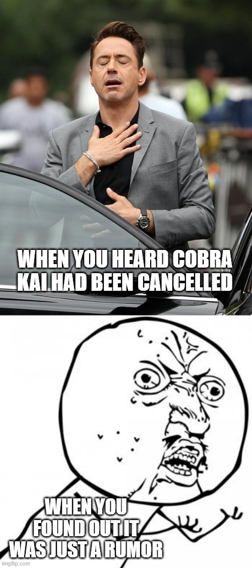 WHEN YOU HEARD COBRA KAI HAD BEEN CANCELLED; WHEN YOU FOUND OUT IT WAS JUST A RUMOR | image tagged in relief,wordpress sql why you no work | made w/ Imgflip meme maker