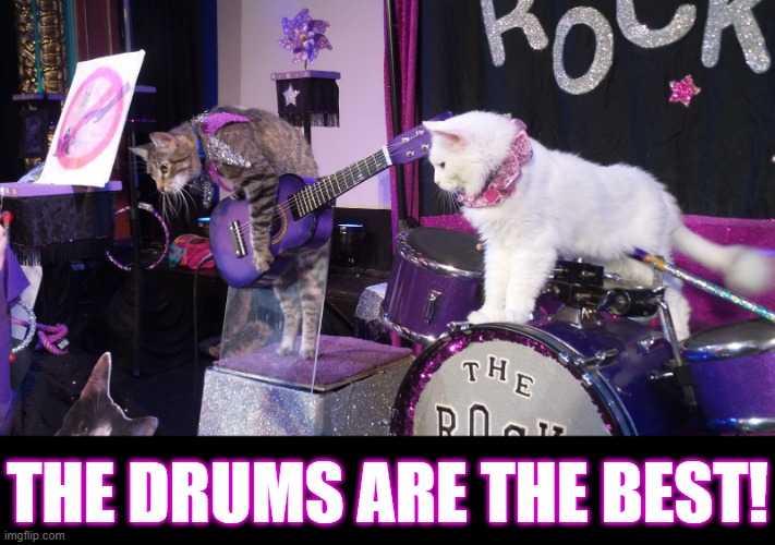 THE DRUMS ARE THE BEST! | made w/ Imgflip meme maker