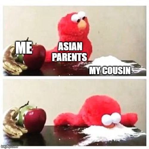 :( | ME; ASIAN PARENTS; MY COUSIN | image tagged in elmo cocaine | made w/ Imgflip meme maker