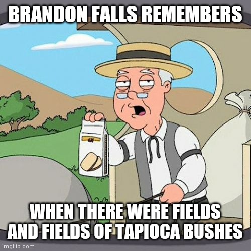 For a Brief Moment in Time on Google Maps, there was a town called Brandon Falls Deleware | BRANDON FALLS REMEMBERS; WHEN THERE WERE FIELDS AND FIELDS OF TAPIOCA BUSHES | image tagged in memes,pepperidge farm remembers,twilight zone,gravity sucks,shin pads | made w/ Imgflip meme maker