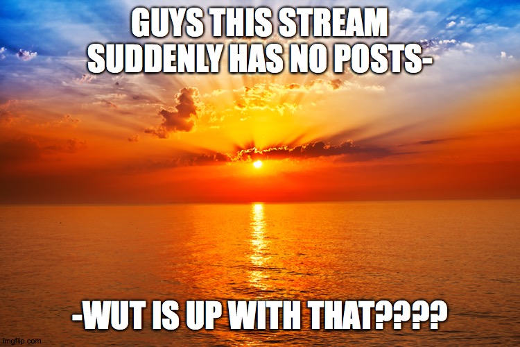 uhhhhh----- | GUYS THIS STREAM SUDDENLY HAS NO POSTS-; -WUT IS UP WITH THAT???? | image tagged in surrender template | made w/ Imgflip meme maker