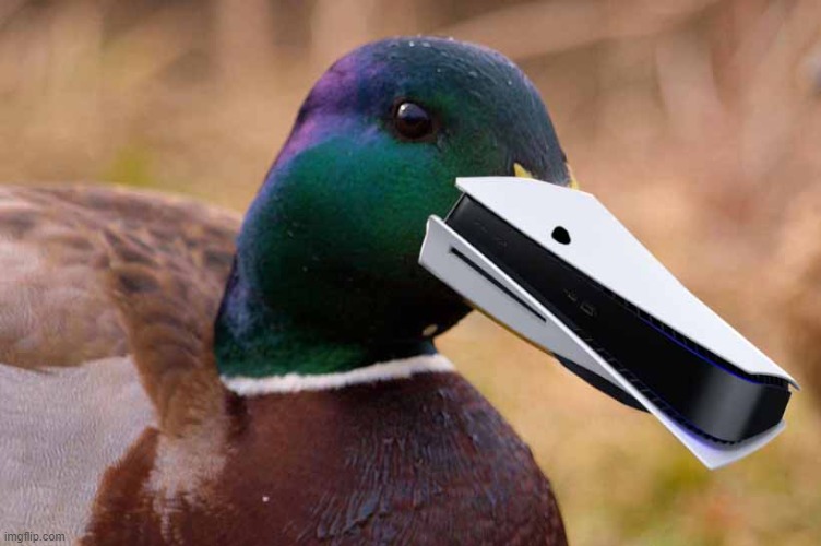 duckps5 | image tagged in memes | made w/ Imgflip meme maker