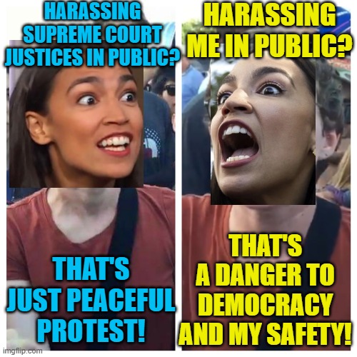I was only OK with you doing it to other people, not to me! |  HARASSING SUPREME COURT JUSTICES IN PUBLIC? HARASSING ME IN PUBLIC? THAT'S A DANGER TO DEMOCRACY AND MY SAFETY! THAT'S JUST PEACEFUL PROTEST! | image tagged in social justice warrior hypocrisy,alexandria ocasio-cortez,protesters | made w/ Imgflip meme maker