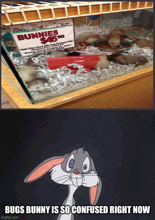 Haven’t had any ideas recently lol ? | BUGS BUNNY IS SO CONFUSED RIGHT NOW | image tagged in bugs bunny crazy face,you had one job,memes | made w/ Imgflip meme maker