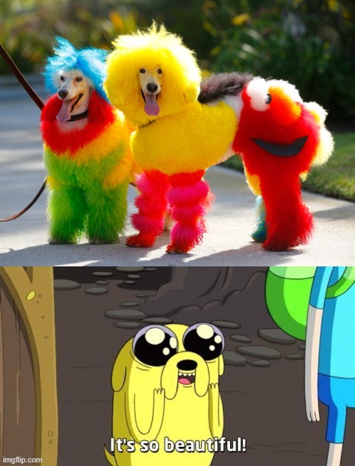 image tagged in adventure time | made w/ Imgflip meme maker