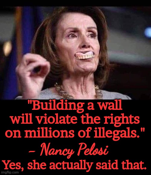"Building a wall will violate the rights on millions of illegals."; - Nancy Pelosi; Yes, she actually said that. | made w/ Imgflip meme maker