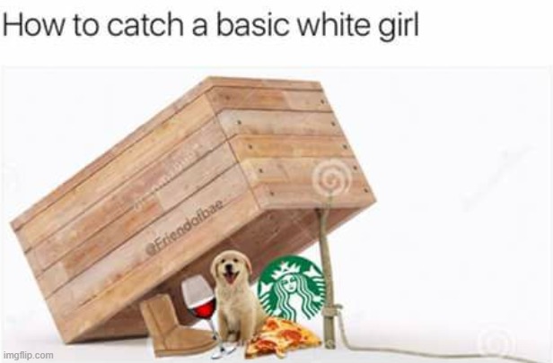 image tagged in memes | made w/ Imgflip meme maker