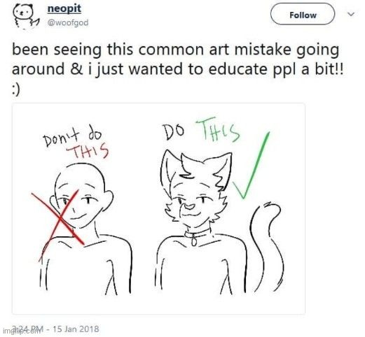 wisdom | image tagged in furry,memes | made w/ Imgflip meme maker