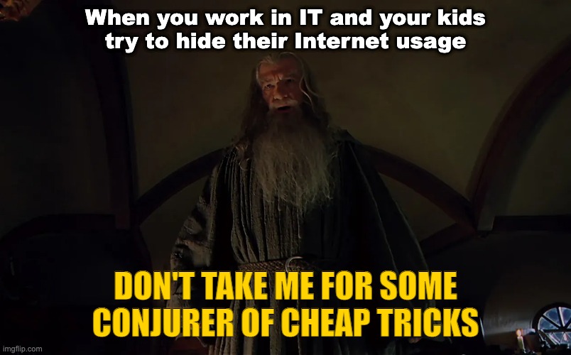 When you work in IT and your kids try to hide their Internet usage | When you work in IT and your kids
try to hide their Internet usage; DON'T TAKE ME FOR SOME CONJURER OF CHEAP TRICKS | image tagged in gandalf conjurer of cheap tricks | made w/ Imgflip meme maker