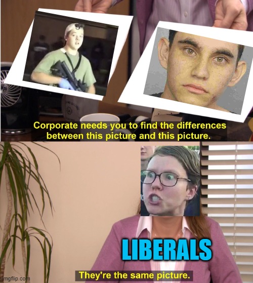Crazy Liberal: "I hate racism in our country!" Also Crazy Liberal: "All white males are terrorist threats to our democracy!" | LIBERALS | image tagged in they're the same picture,political meme,liberal logic,mass shooting | made w/ Imgflip meme maker