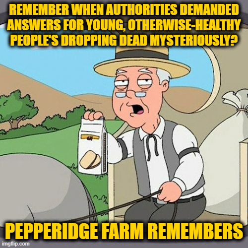 Demanding Silence | REMEMBER WHEN AUTHORITIES DEMANDED ANSWERS FOR YOUNG, OTHERWISE-HEALTHY PEOPLE'S DROPPING DEAD MYSTERIOUSLY? PEPPERIDGE FARM REMEMBERS | image tagged in memes,pepperidge farm remembers | made w/ Imgflip meme maker
