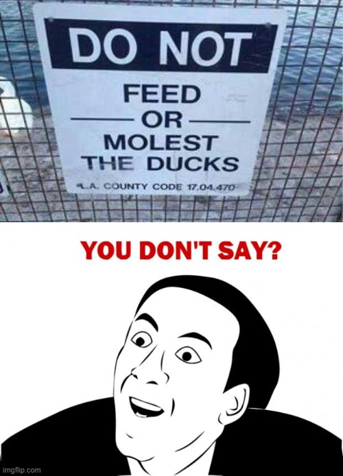 image tagged in memes,you don't say | made w/ Imgflip meme maker