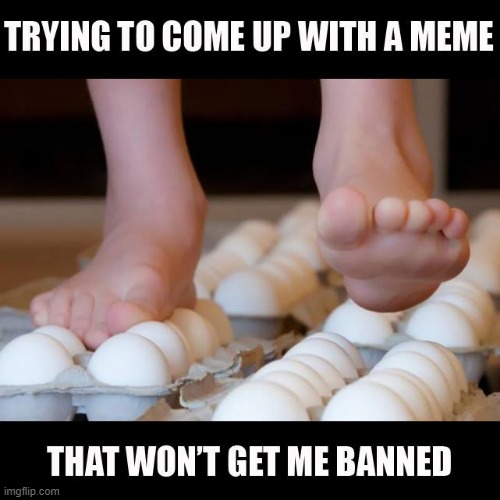 image tagged in repost | made w/ Imgflip meme maker