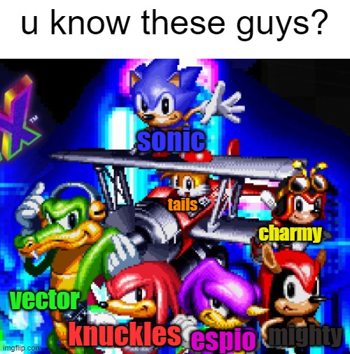 knuckles chaotix is nostaligic | u know these guys? sonic; tails; charmy; knuckles; vector; mighty; espio | image tagged in memes,sonic the hedgehog | made w/ Imgflip meme maker