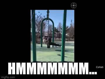 do a flip!!! - Imgflip