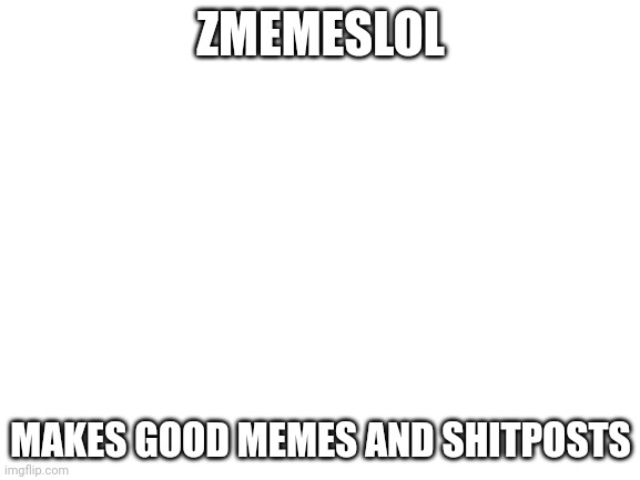 Blank White Template | ZMEMESLOL; MAKES GOOD MEMES AND SHITPOSTS | image tagged in blank white template | made w/ Imgflip meme maker