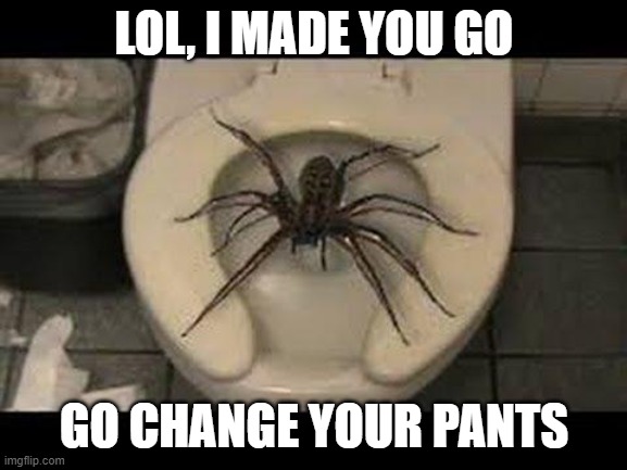 Works every time | LOL, I MADE YOU GO; GO CHANGE YOUR PANTS | image tagged in spider toilet,works every time,change your pants,jokes on you,made you go,you stink | made w/ Imgflip meme maker