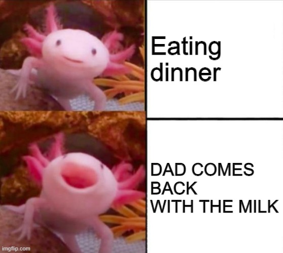 axolotl drake | Eating dinner; DAD COMES BACK WITH THE MILK | image tagged in axolotl drake | made w/ Imgflip meme maker