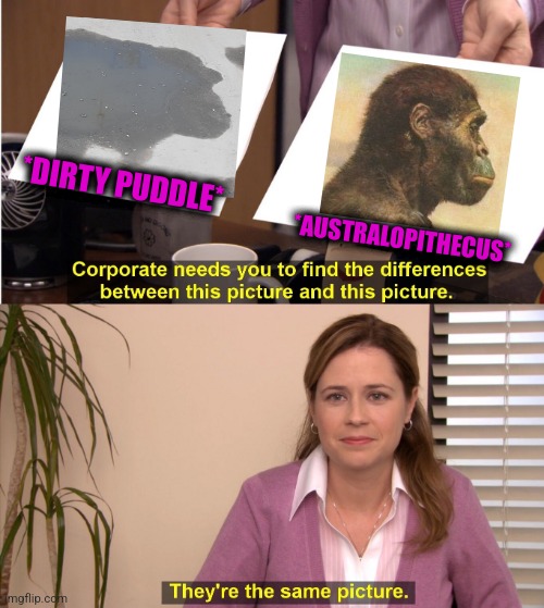 -This face with upon eyes bone. | *DIRTY PUDDLE*; *AUSTRALOPITHECUS* | image tagged in memes,they're the same picture,ancient aliens dude,chocolate gorilla,dirty joke,totally looks like | made w/ Imgflip meme maker