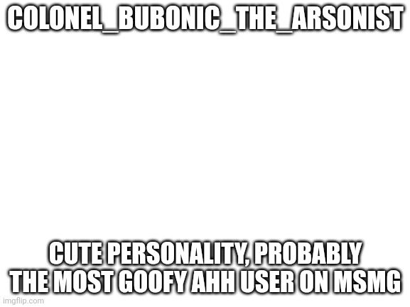 Blank White Template | COLONEL_BUBONIC_THE_ARSONIST; CUTE PERSONALITY, PROBABLY THE MOST GOOFY AHH USER ON MSMG | image tagged in blank white template | made w/ Imgflip meme maker