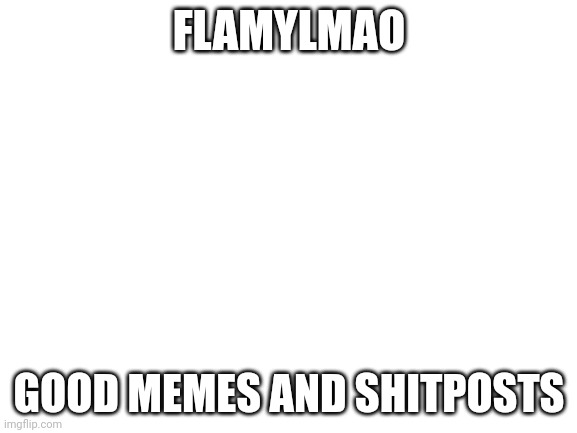 Blank White Template | FLAMYLMAO; GOOD MEMES AND SHITPOSTS | image tagged in blank white template | made w/ Imgflip meme maker