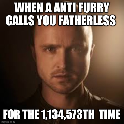-_- | WHEN A ANTI FURRY CALLS YOU FATHERLESS; FOR THE 1,134,573TH  TIME | image tagged in breaking bad,jesse,furry,memes | made w/ Imgflip meme maker