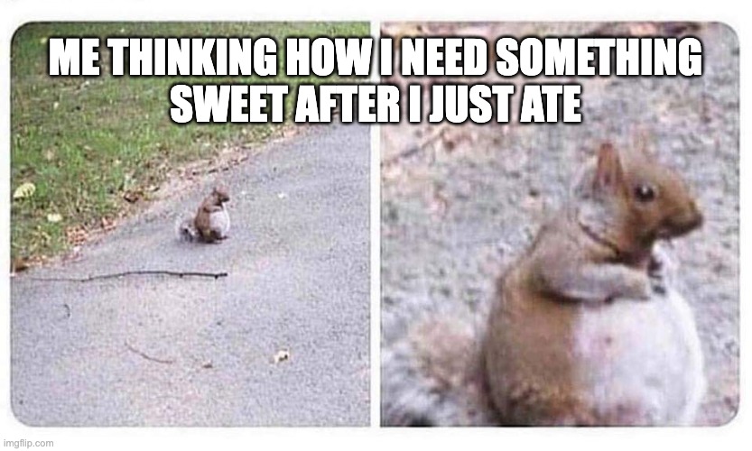 Fat squirrel | ME THINKING HOW I NEED SOMETHING
SWEET AFTER I JUST ATE | image tagged in fat happy squirrel | made w/ Imgflip meme maker