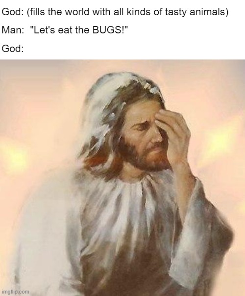 You want to reduce CO2 -- start eating meat! | God: (fills the world with all kinds of tasty animals); Man:  "Let's eat the BUGS!"; God: | image tagged in jesus | made w/ Imgflip meme maker