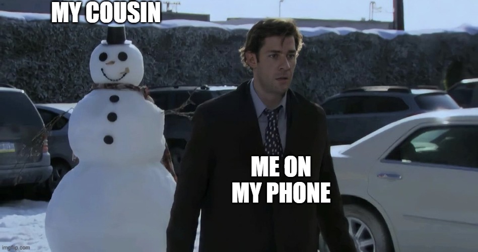 Jim and the snowman | MY COUSIN; ME ON MY PHONE | image tagged in jim and the snowman | made w/ Imgflip meme maker