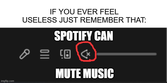 Feel better about your selfe | IF YOU EVER FEEL USELESS JUST REMEMBER THAT:; SPOTIFY CAN; MUTE MUSIC | image tagged in spotify | made w/ Imgflip meme maker
