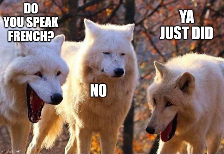 Laughing wolf | DO YOU SPEAK FRENCH? YA JUST DID; NO | image tagged in laughing wolf | made w/ Imgflip meme maker