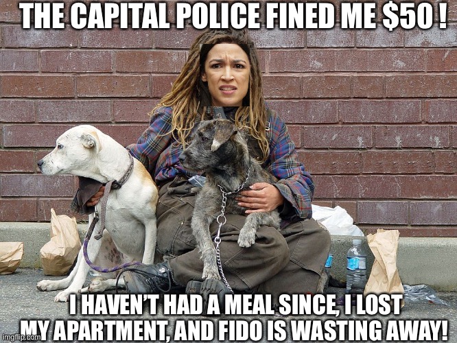 THE CAPITAL POLICE FINED ME $50 ! I HAVEN’T HAD A MEAL SINCE, I LOST MY APARTMENT, AND FIDO IS WASTING AWAY! | made w/ Imgflip meme maker