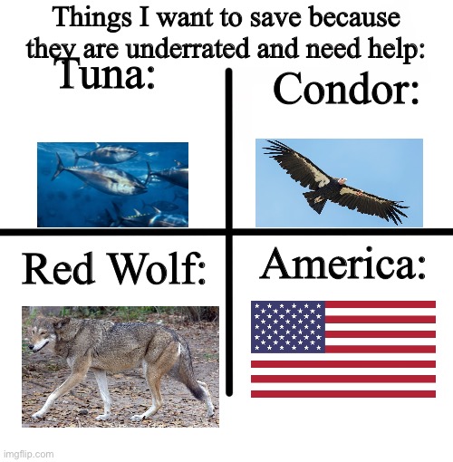 Save these | Things I want to save because they are underrated and need help:; Tuna:; Condor:; America:; Red Wolf: | made w/ Imgflip meme maker