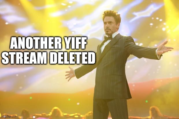 Tony Stark success | ANOTHER YIFF STREAM DELETED | image tagged in tony stark success | made w/ Imgflip meme maker