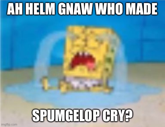 ah hell na | AH HELM GNAW WHO MADE; SPUMGELOP CRY? | image tagged in spumlebop | made w/ Imgflip meme maker