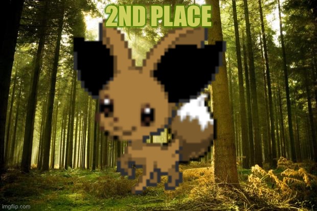 2ND PLACE | made w/ Imgflip meme maker