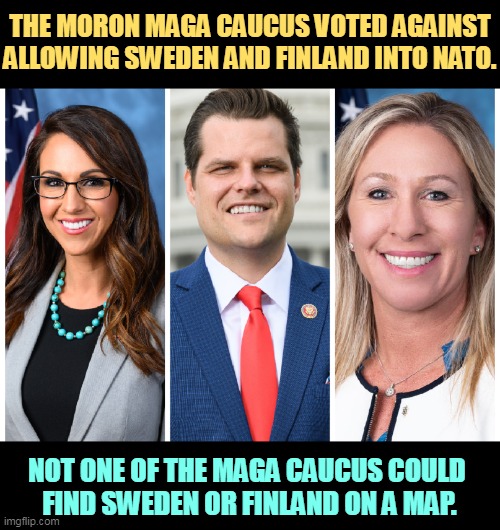 Not only could 18 MAGA morons not find Sweden or Finland on the map, but 4 of them couldn't find Graceland. | THE MORON MAGA CAUCUS VOTED AGAINST ALLOWING SWEDEN AND FINLAND INTO NATO. NOT ONE OF THE MAGA CAUCUS COULD 
FIND SWEDEN OR FINLAND ON A MAP. | image tagged in maga,morons,sweden,finland,nato,russia | made w/ Imgflip meme maker