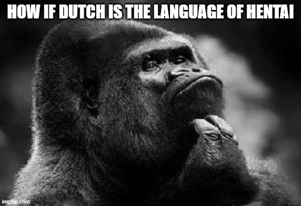 NL | HOW IF DUTCH IS THE LANGUAGE OF HENTAI | image tagged in thinking monkey | made w/ Imgflip meme maker