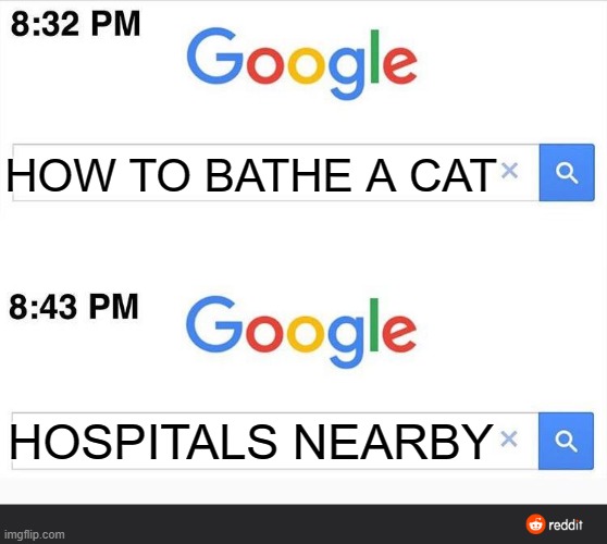 true dat | HOW TO BATHE A CAT; HOSPITALS NEARBY | image tagged in 8 32 google search | made w/ Imgflip meme maker