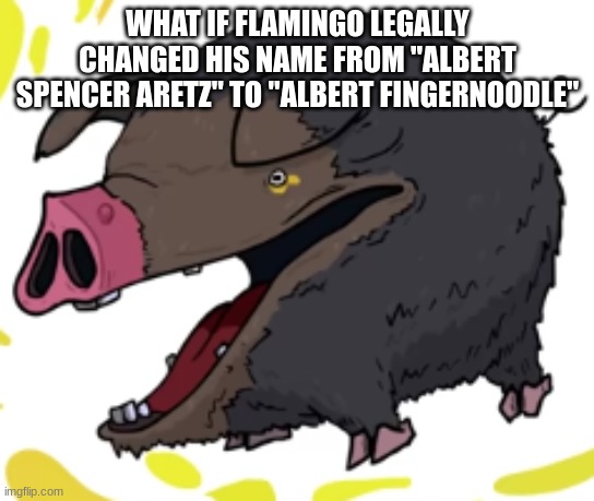 lechonk moment part 2: electric boogaloo | WHAT IF FLAMINGO LEGALLY CHANGED HIS NAME FROM "ALBERT SPENCER ARETZ" TO "ALBERT FINGERNOODLE" | image tagged in lechonk moment part 2 electric boogaloo | made w/ Imgflip meme maker
