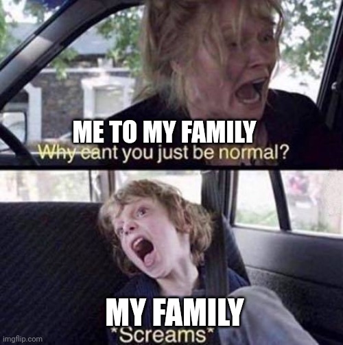 Why Can't You Just Be Normal | ME TO MY FAMILY; MY FAMILY | image tagged in why can't you just be normal | made w/ Imgflip meme maker
