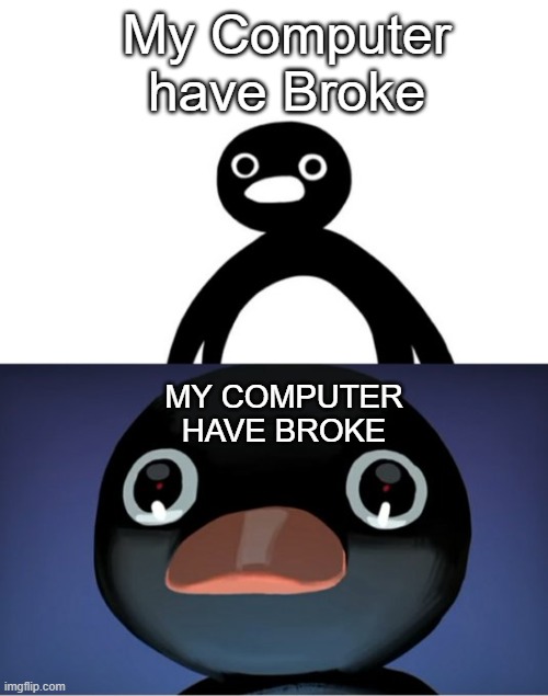noot noot | My Computer have Broke; MY COMPUTER HAVE BROKE | image tagged in telepurte noot noot,computer | made w/ Imgflip meme maker