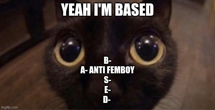 skrunkly | YEAH I'M BASED; B-
A- ANTI FEMBOY
S-
E-
D- | image tagged in skrunkly | made w/ Imgflip meme maker