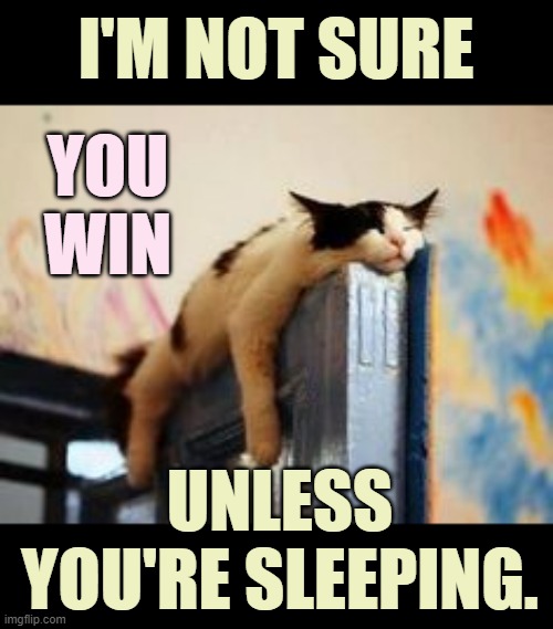 I'M NOT SURE UNLESS YOU'RE SLEEPING. YOU WIN | made w/ Imgflip meme maker