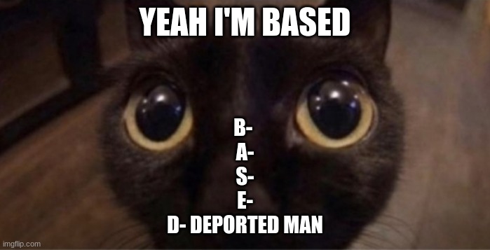 Skrunkly | YEAH I'M BASED B- 
A-
S-
E-
D- DEPORTED MAN | image tagged in skrunkly | made w/ Imgflip meme maker