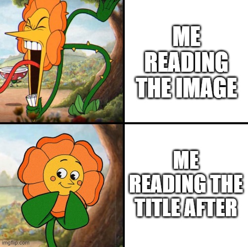 angry flower | ME READING THE IMAGE ME READING THE TITLE AFTER | image tagged in angry flower | made w/ Imgflip meme maker