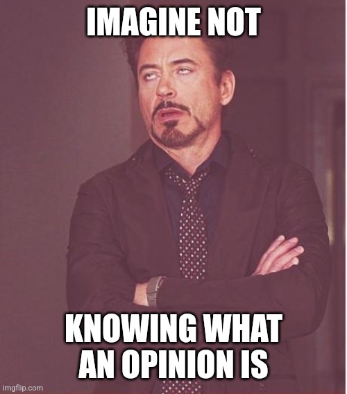 Face You Make Robert Downey Jr Meme | IMAGINE NOT KNOWING WHAT AN OPINION IS | image tagged in memes,face you make robert downey jr | made w/ Imgflip meme maker