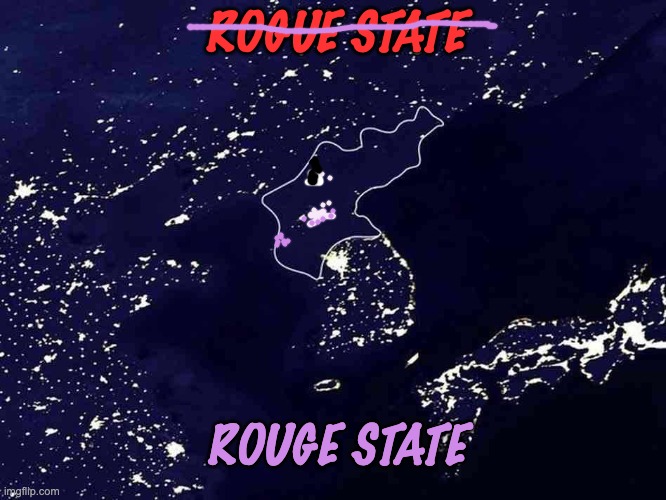 Spelling matters: and no, spellcheck isn't enough | ROGUE STATE; ROUGE STATE | image tagged in north korea the difference,rogue,makeup,pretty,cute,north korea | made w/ Imgflip meme maker