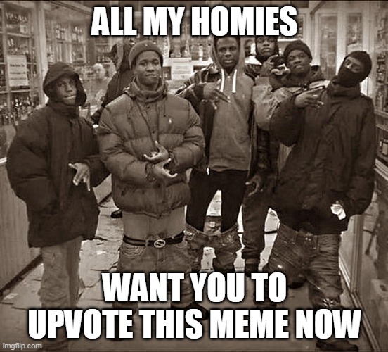All My Homies Hate | ALL MY HOMIES; WANT YOU TO UPVOTE THIS MEME NOW | image tagged in all my homies hate | made w/ Imgflip meme maker