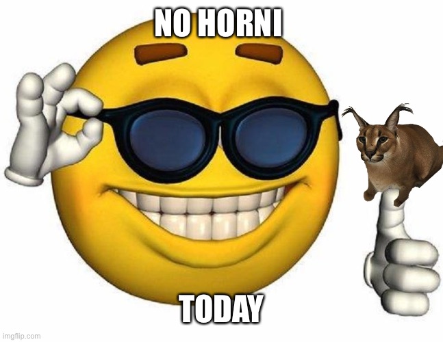 Thumbs Up Emoji | NO HORNI; TODAY | image tagged in thumbs up emoji | made w/ Imgflip meme maker